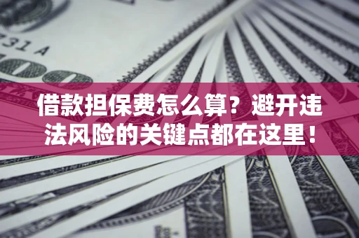 武汉借款担保费怎么算？避开违法风险的关键点都在这里！