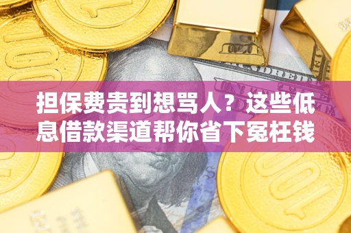 武汉担保费贵到想骂人？这些低息借款渠道帮你省下冤枉钱