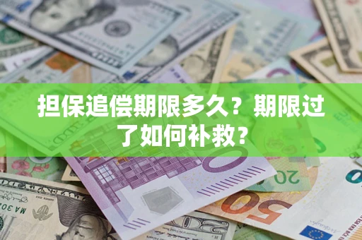 武汉担保追偿期限多久？期限过了如何补救？