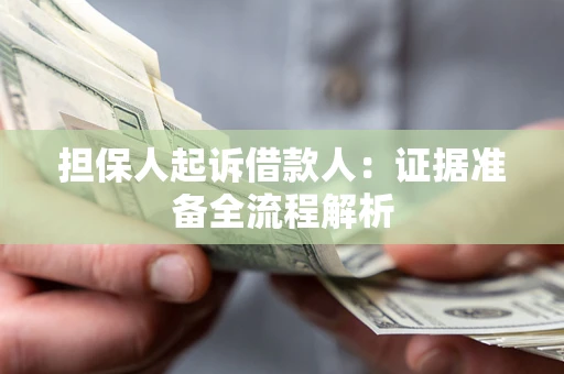 武汉担保人起诉借款人：证据准备全流程解析