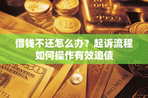 武汉借钱不还怎么办？起诉流程如何操作有效追债