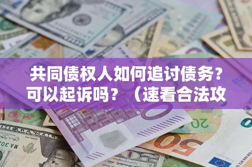 武汉共同债权人如何追讨债务？可以起诉吗？（速看合法攻略）