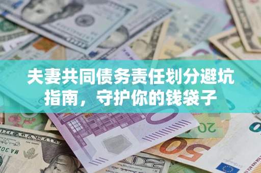 武汉夫妻共同债务责任划分避坑指南，守护你的钱袋子