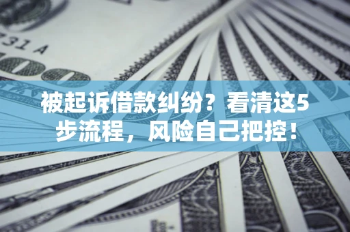 武汉被起诉借款纠纷？看清这5步流程，风险自己把控！