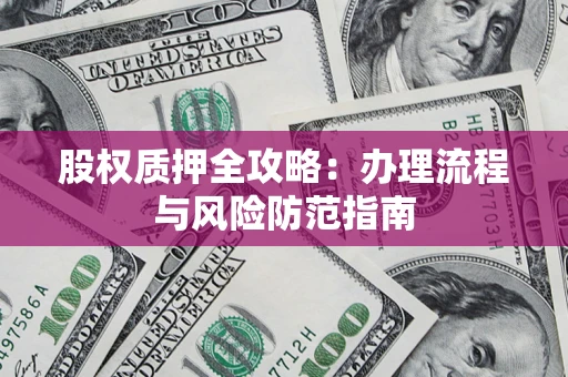 武汉股权质押全攻略：办理流程与风险防范指南
